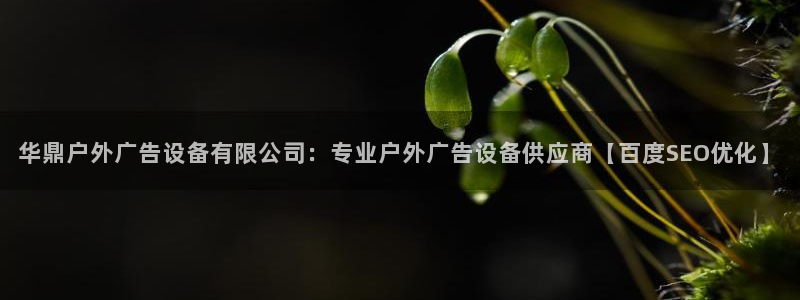 杏宇平台提现为什么这么久呢：华鼎户外广告设备有限公司：专业户外广告设备供应商【百度SEO优化】