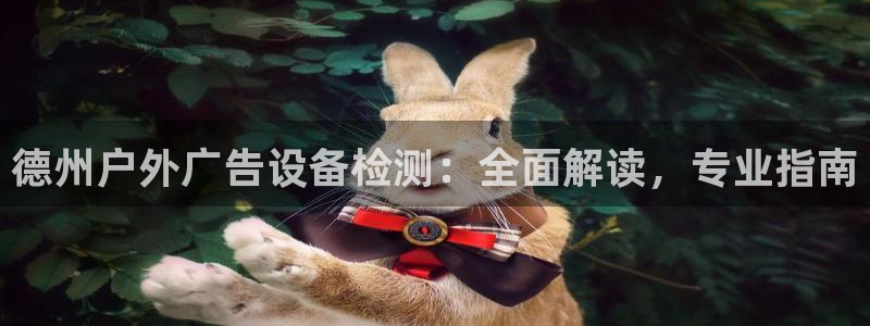 杏宇平台登录步骤：德州户外广告设备检测：全面解读，专业指南