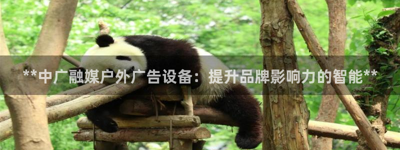 杏宇平台代理