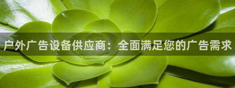杏宇平台代理多少钱一次