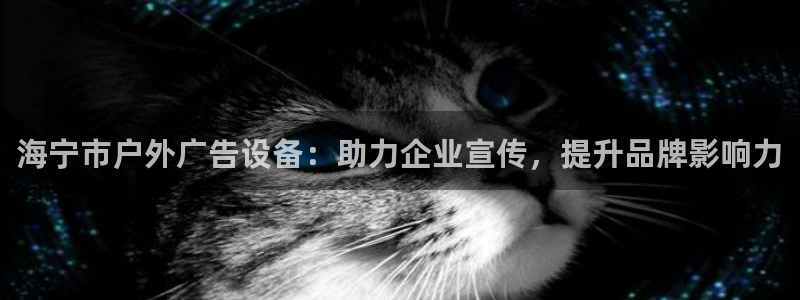 杏宇平台是什么