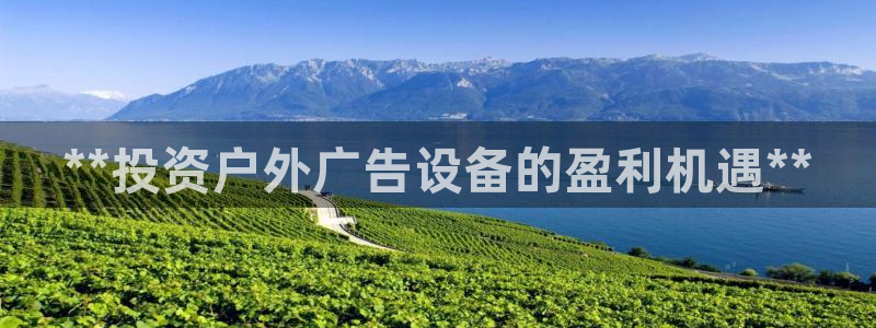 杏宇平台登录步骤：**投资户外广告设备的盈利机遇**