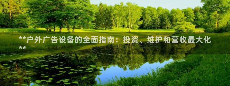 杏宇平台代理怎么样：**户外广告设备的全面指南：投资、维护和营收最大化
**