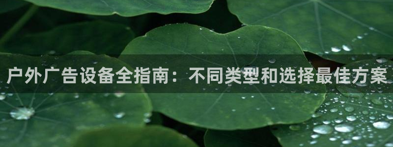 杏宇平台总代理：户外广告设备全指南：不同类型和选择最佳方案
