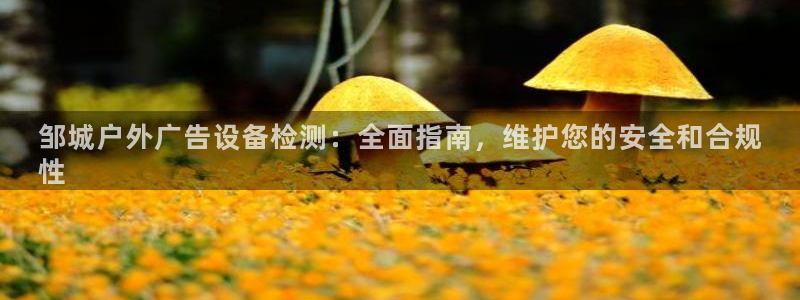 杏宇平台是什么