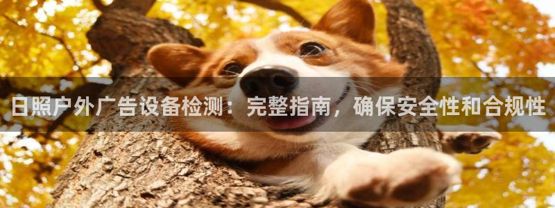 杏宇平台代理多少钱一个：日照户外广告设备检测：完整指南，确保安全性和合规性