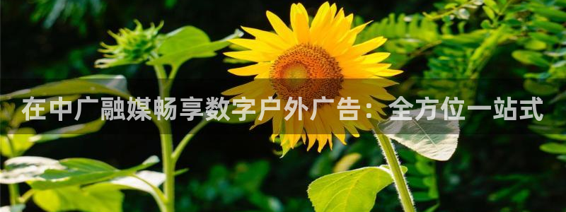 杏宇平台代理怎么样赚钱：在中广融媒畅享数字户外广告：全方位一站式
