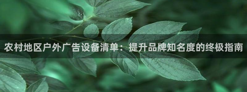 杏宇平台招商：农村地区户外广告设备清单：提升品牌知名度的终极指南