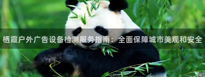 杏宇代理注册：栖霞户外广告设备检测服务指南：全面保障城市美观和安全