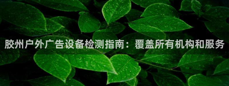 杏宇平台代理多少钱一个：胶州户外广告设备检测指南：覆盖所有机构和服务