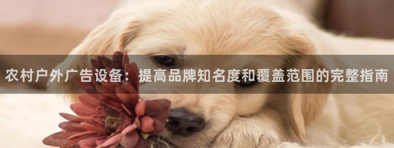 杏宇平台代理多少钱一个：农村户外广告设备：提高品牌知名度和覆盖范围的完整指南