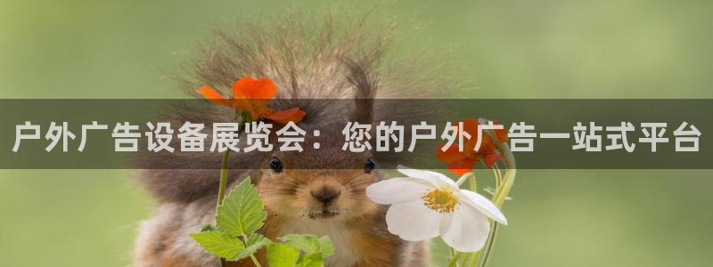 杏宇平台总代理：户外广告设备展览会：您的户外广告一站式平台