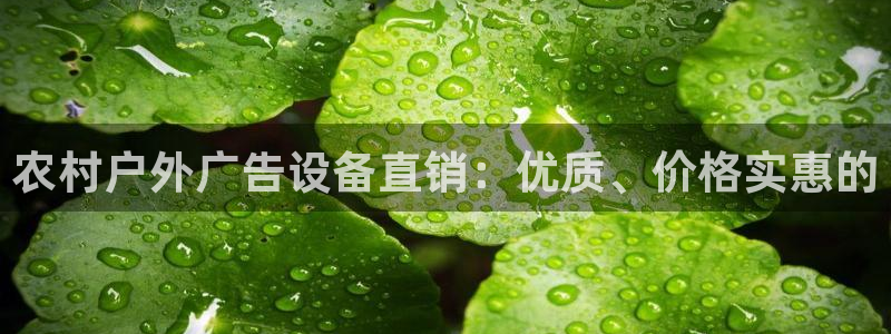 杏宇平台登录方法：农村户外广告设备直销：优质、价格实惠的