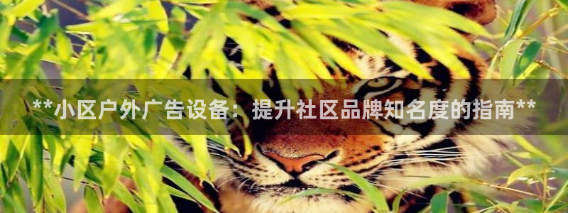 杏宇平台开户：**小区户外广告设备：提升社区品牌知名度的指南**