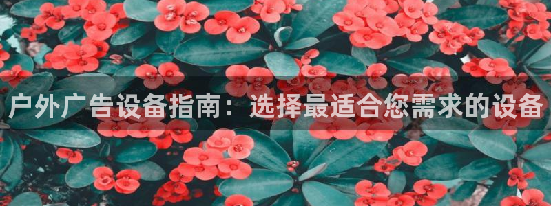 杏宇平台是什么：户外广告设备指南：选择最适合您需求的设备