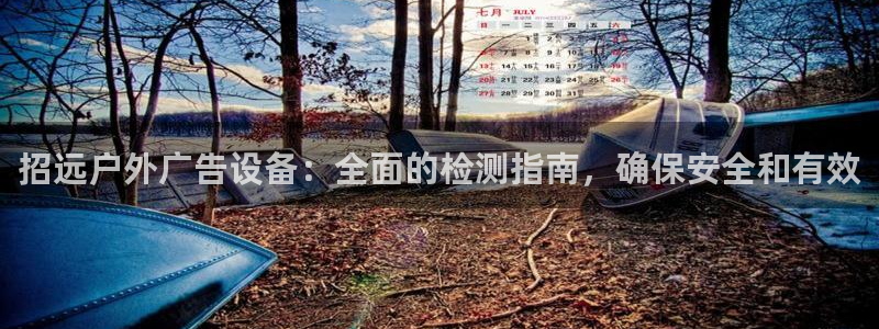 杏宇平台代理多少钱一次：招远户外广告设备：全面的检测指南，确保安全和有效