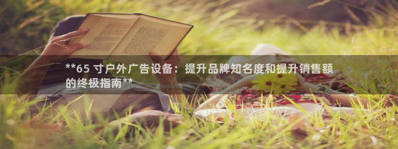 杏宇平台提现为什么这么久呢：**65 寸户外广告设备：提升品牌知名度和提升销售额
的终极指南**