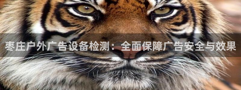 杏宇平台总代理是谁：枣庄户外广告设备检测：全面保障广告安全与效果