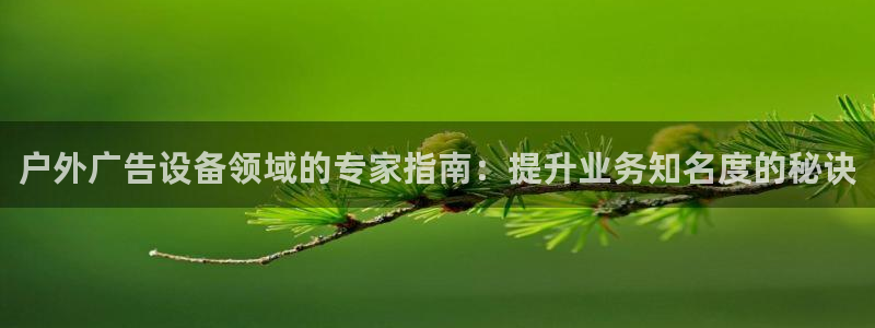 杏宇平台总代理电话：户外广告设备领域的专家指南：提升业务知名度的秘诀