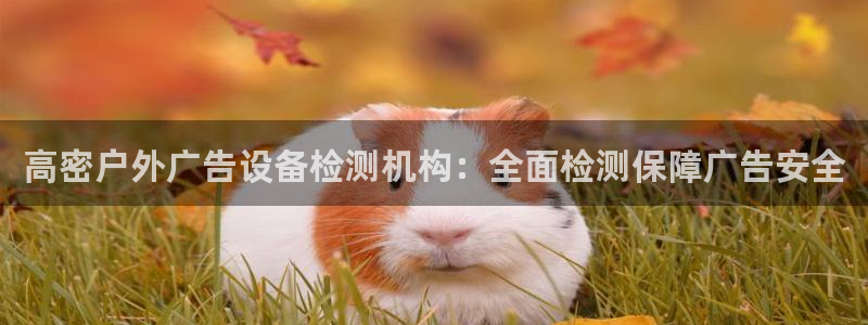 杏宇平台招商：高密户外广告设备检测机构：全面检测保障广告安全