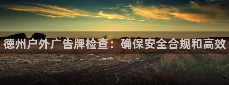 杏宇平台代理怎么样赚钱：德州户外广告牌检查：确保安全合规和高效
