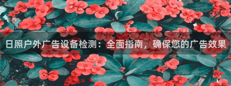 杏宇平台客服：日照户外广告设备检测：全面指南，确保您的广告效果