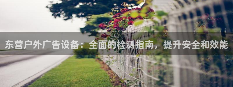 杏宇平台开户：东营户外广告设备：全面的检测指南，提升安全和效能