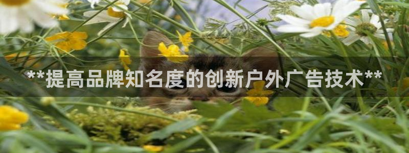 杏宇平台官网注册：**提高品牌知名度的创新户外广告技术**