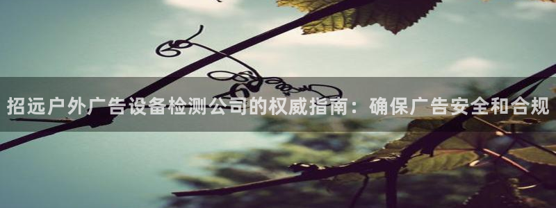 杏宇代理注册：招远户外广告设备检测公司的权威指南：确保广告安全和合规