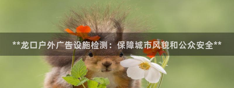 杏宇代理注册：**龙口户外广告设施检测：保障城市风貌和公众安全**