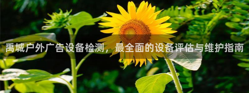 杏宇平台登录步骤图：禹城户外广告设备检测，最全面的设备评估与维护指南
