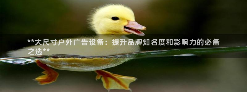 杏宇平台怎么样赚钱：**大尺寸户外广告设备：提升品牌知名度和影响力的必备
之选**