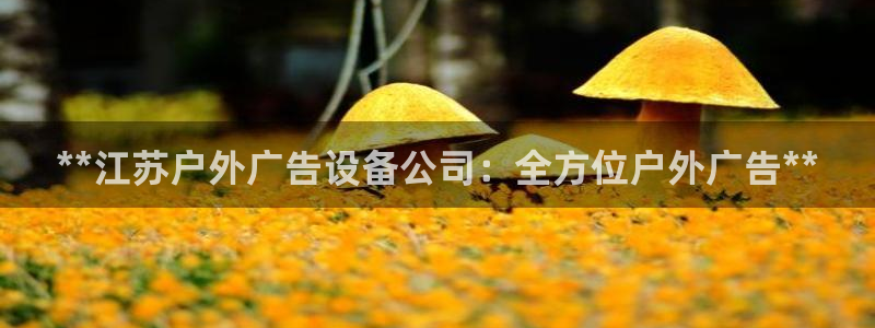 杏宇官方平台官网入口：**江苏户外广告设备公司：全方位户外广告**