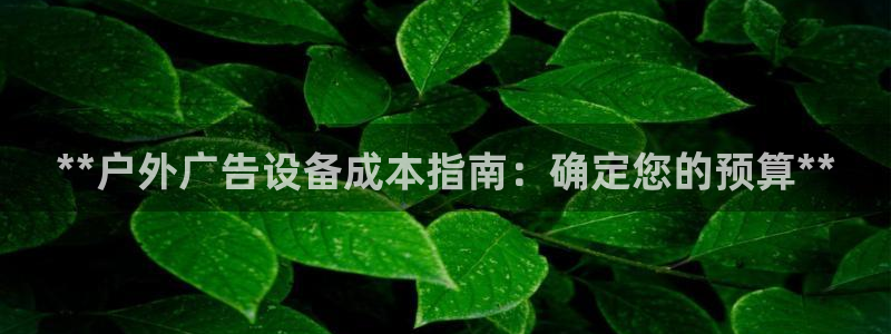 杏宇平台注册地址：**户外广告设备成本指南：确定您的预算**