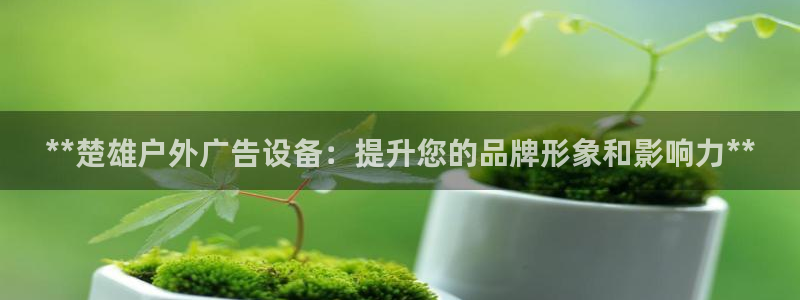 杏宇平台代理怎么赚钱