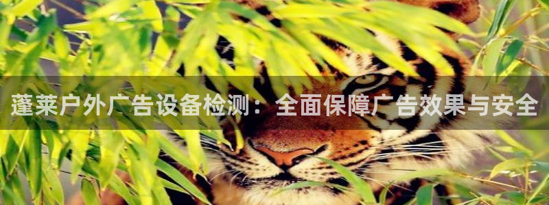 杏宇官方平台官网