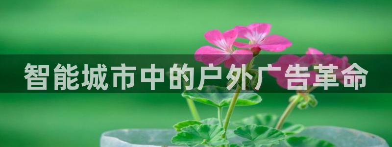 杏宇平台代理怎么样啊：智能城市中的户外广告革命