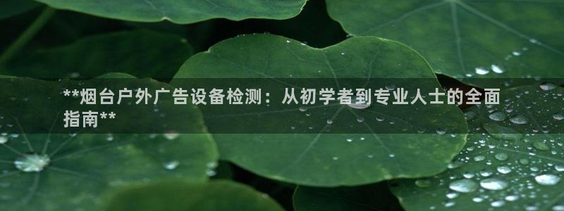 杏宇平台怎么样赚钱