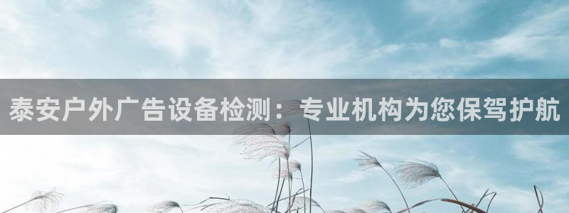 杏宇平台提现为什么这么久呢：泰安户外广告设备检测：专业机构为您保驾护航
