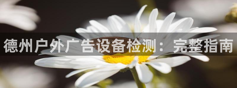 杏宇平台代理：德州户外广告设备检测：完整指南