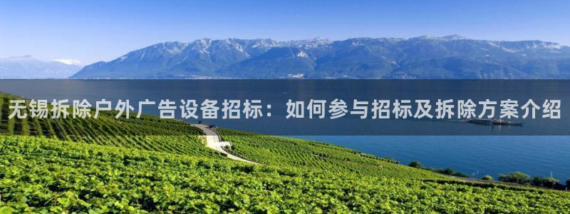 杏宇平台代理多少钱一次：无锡拆除户外广告设备招标：如何参与招标及拆除方案介绍