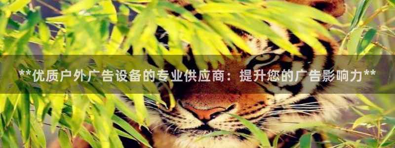 杏宇平台代理怎么样：**优质户外广告设备的专业供应商：提升您的广告影响力**