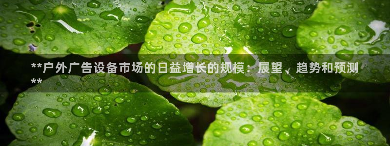 杏宇平台总代理是谁：**户外广告设备市场的日益增长的规模：展望、趋势和预测
**