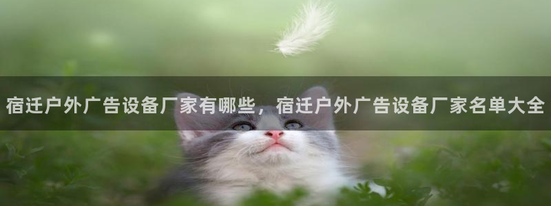 杏宇平台代理多少钱一次：宿迁户外广告设备厂家有哪些，宿迁户外广告设备厂家名单大全