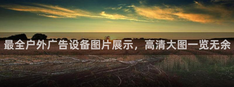 杏宇平台招商：最全户外广告设备图片展示，高清大图一览无余
