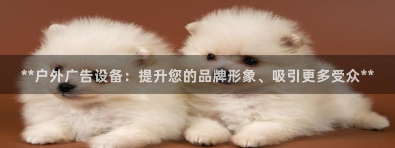 杏宇平台代理怎么样可靠吗：**户外广告设备：提升您的品牌形象、吸引更多受众**