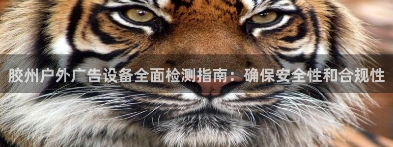 杏宇平台登录步骤图：胶州户外广告设备全面检测指南：确保安全性和合规性