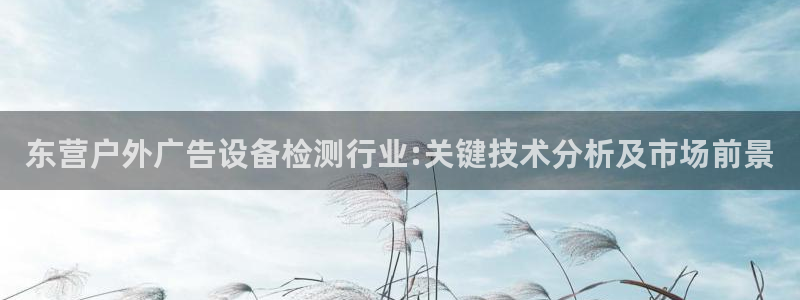 杏宇平台代理怎么样啊：东营户外广告设备检测行业:关键技术分析及市场前景