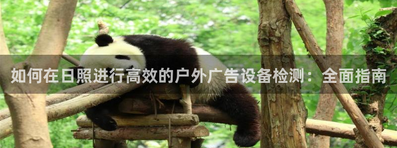 杏宇平台代理怎么赚钱快：如何在日照进行高效的户外广告设备检测：全面指南