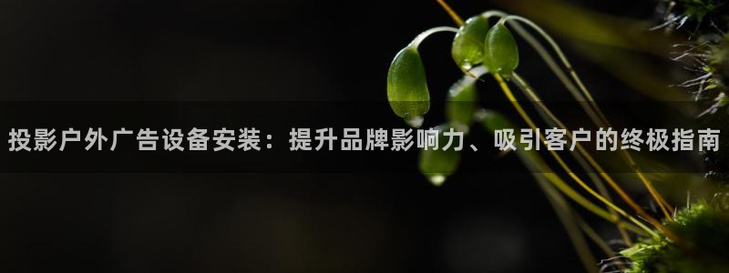 杏宇平台怎么样知乎：投影户外广告设备安装：提升品牌影响力、吸引客户的终极指南